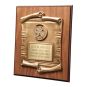 Scroll Award Plaque (Y5028)