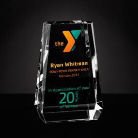 20 Years of Service Award (Y315/20)