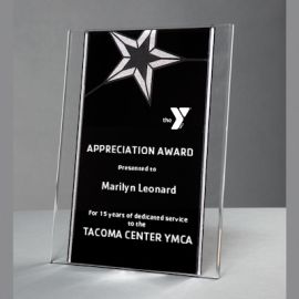 Acrylic Star Wall Mount Plaque (Y285)