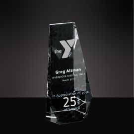 25 Years of Service Award (Y315/25)