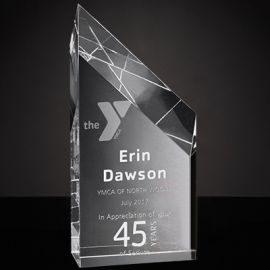 45 Years of Service Award (Y315/45)