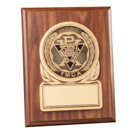 General Purpose Plaque (Y3263)