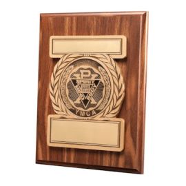 General Purpose Plaque (Y3265)