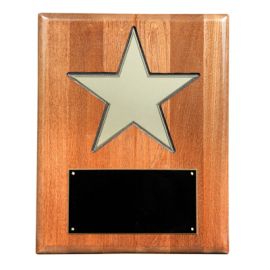 Star Award Plaque (Y650)