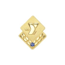 15 Years of Service Lapel Pin or Charm (YM105/15)